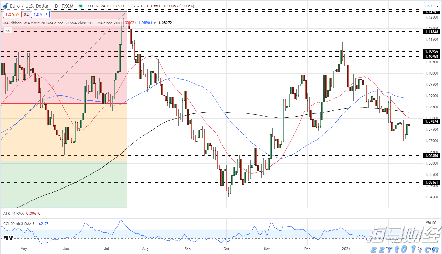 2025年桂平麻垌荔枝嘉年华系列活动开幕