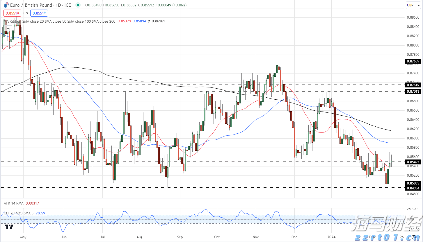 2025年桂平麻垌荔枝嘉年华系列活动开幕