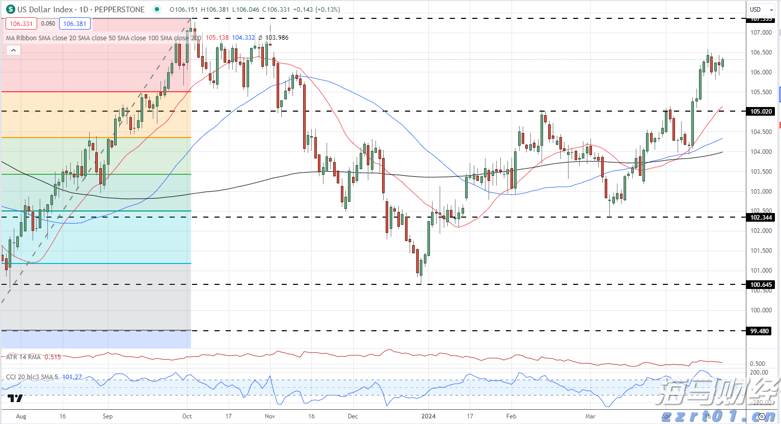 深耕创作沃土 讲好徐闻故事