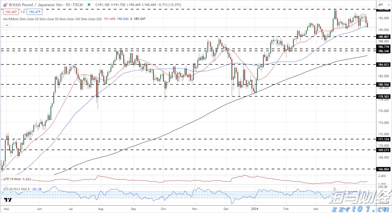 深耕创作沃土 讲好徐闻故事